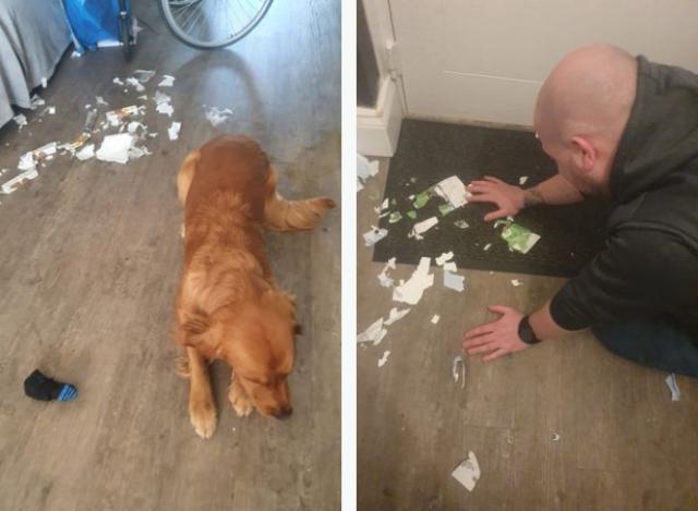 1676987736455015191.jpg 纽卡.jpg